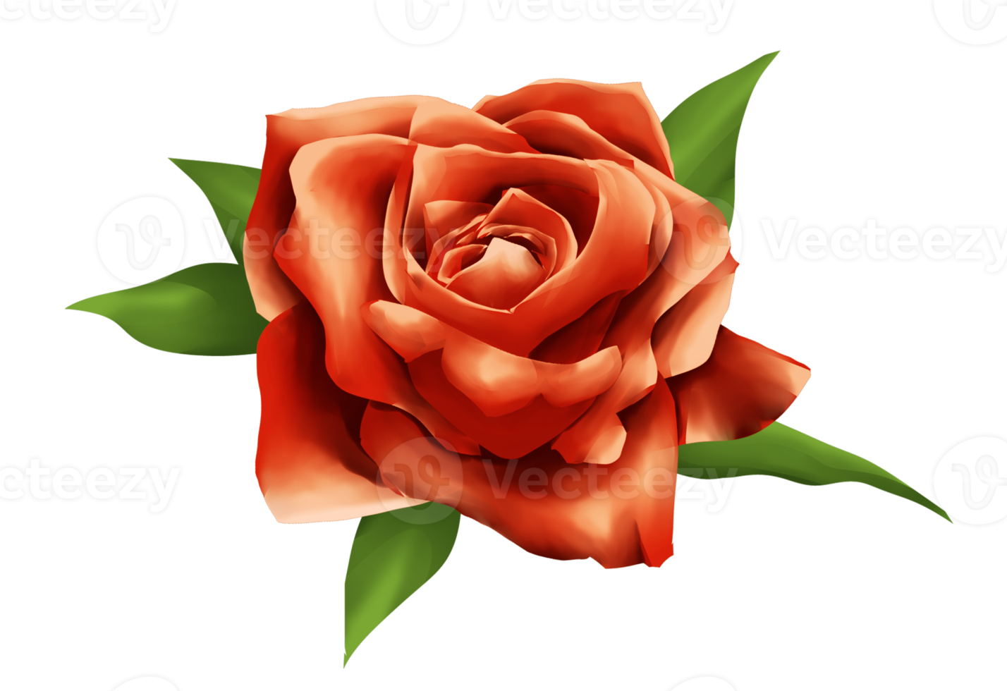 one red rose watercolor illustration png