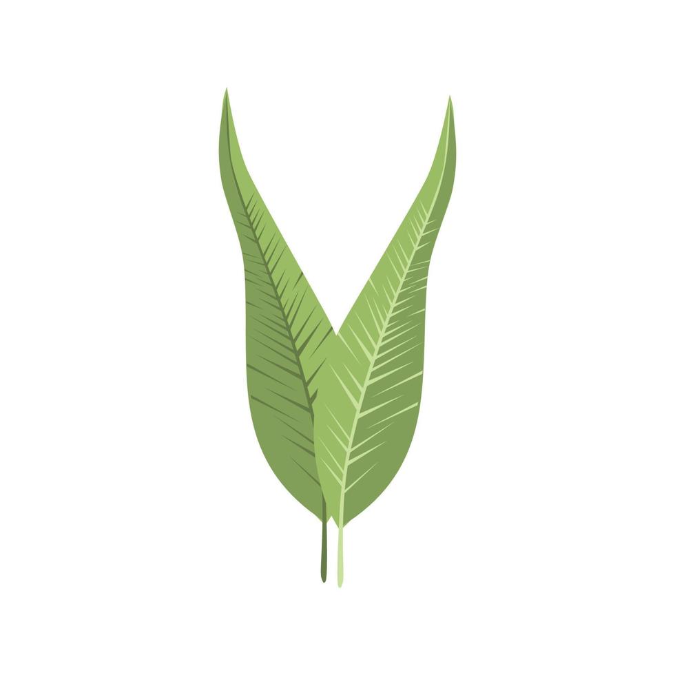 ilustración de planta de hoja de naturaleza vector