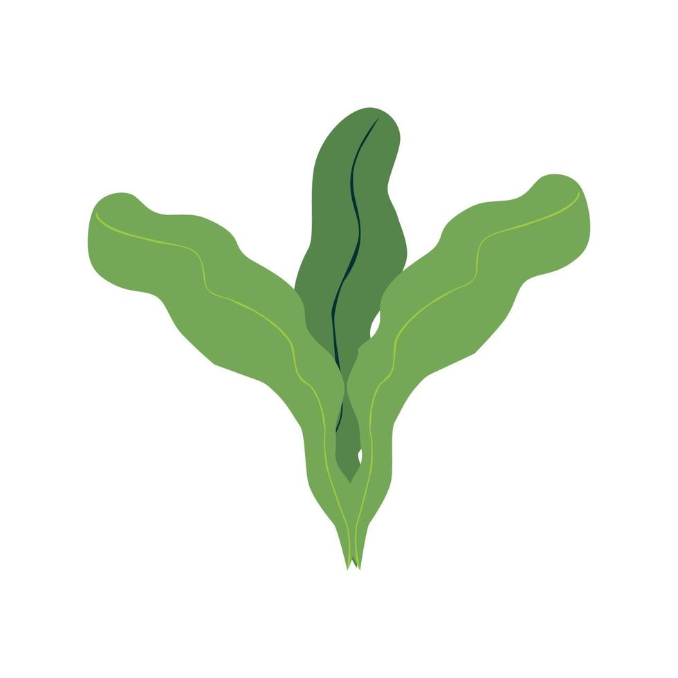 vector de ilustración de planta de hoja de naturaleza