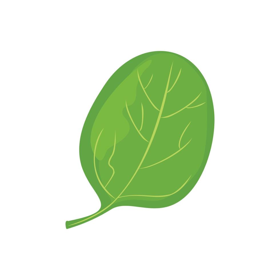 vector de ilustración de planta de hoja de naturaleza