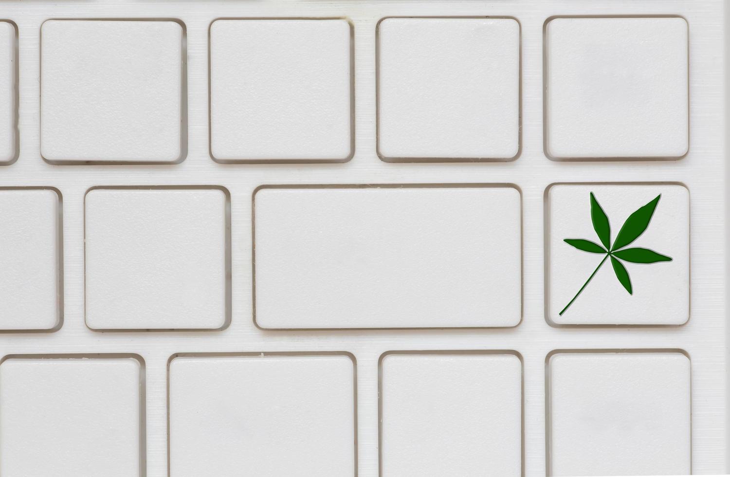 Ecology concept.   keyboard with leaf icon photo