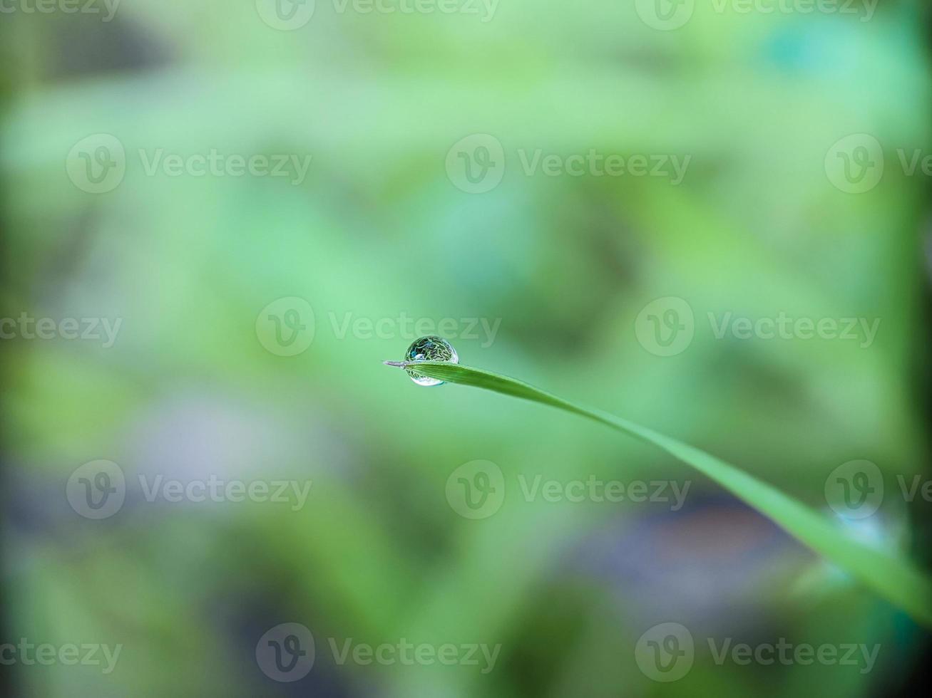 gota de rocío en la hoja por la mañana foto