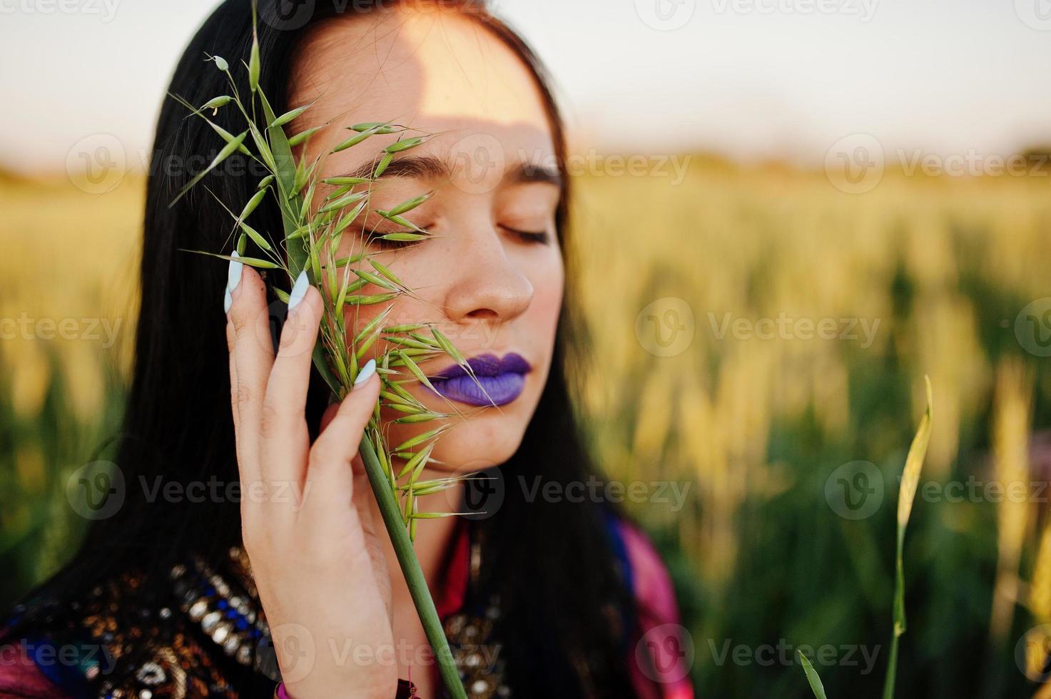Tender indian girl in saree, with violet lips make up posed at field in sunset. Fashionable india model. photo