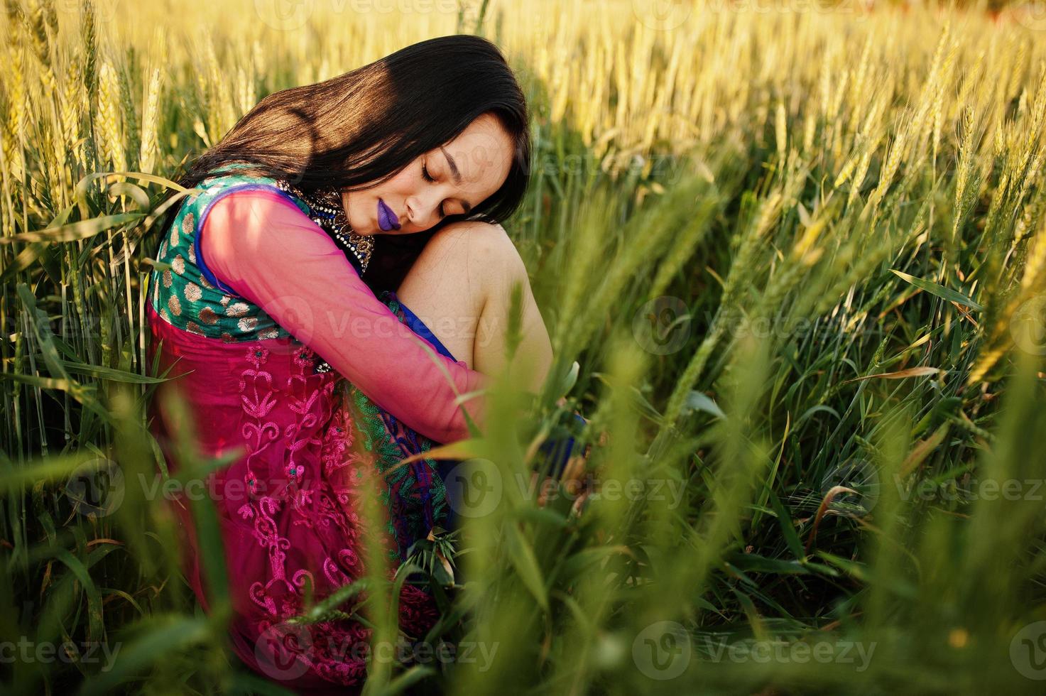 Tender indian girl in saree, with violet lips make up posed at field in sunset. Fashionable india model. photo