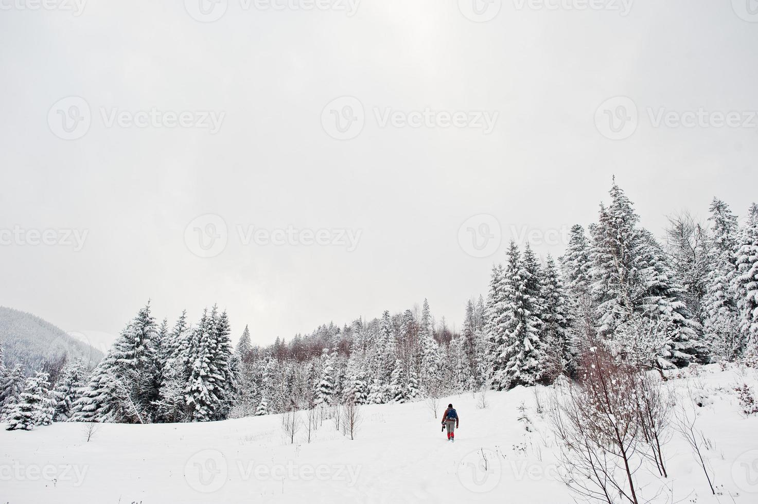 Man at pine trees covered by snow at Carpathian mountains. Beautiful winter landscapes. Frost nature. photo