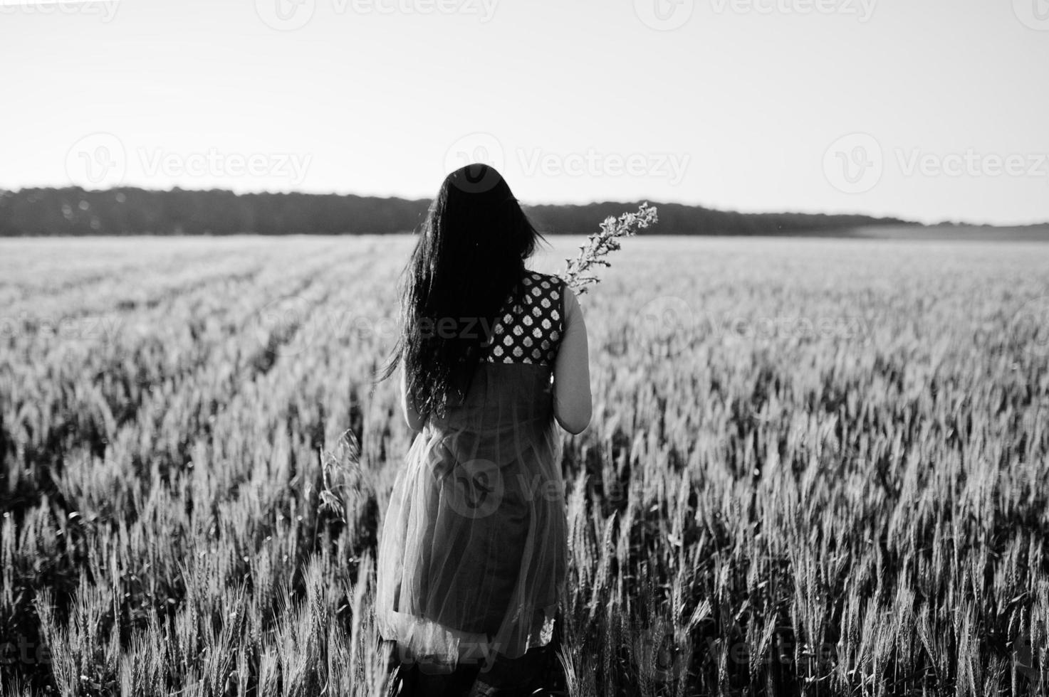 Tender indian girl in saree, with violet lips make up posed at field in sunset. Fashionable india model. photo