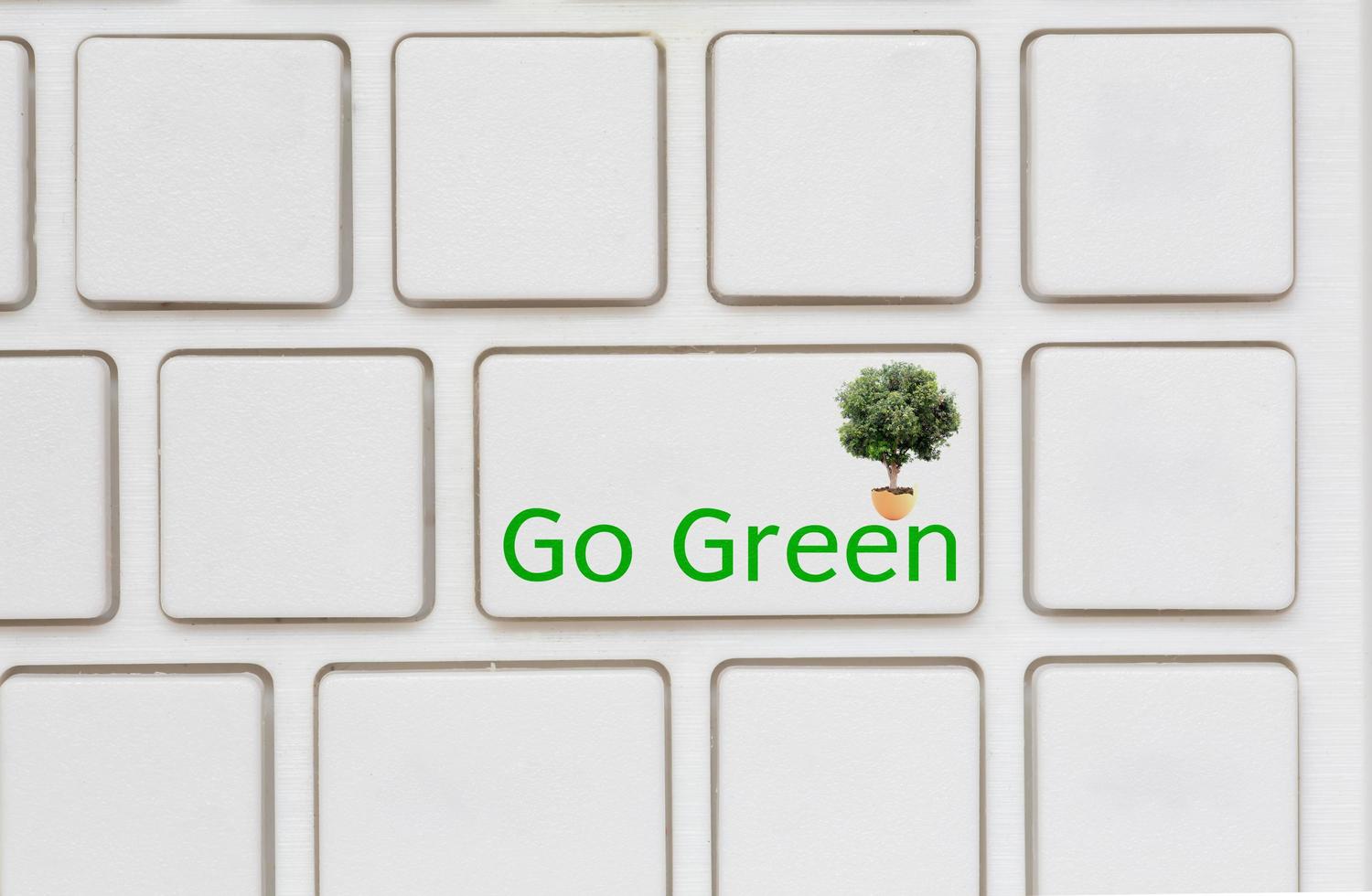 Go green button on computer photo