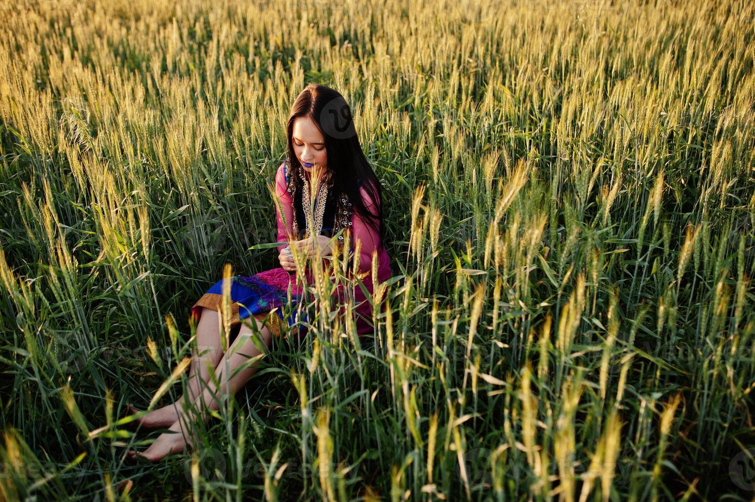 Tender indian girl in saree, with violet lips make up posed at field in sunset. Fashionable india model. photo