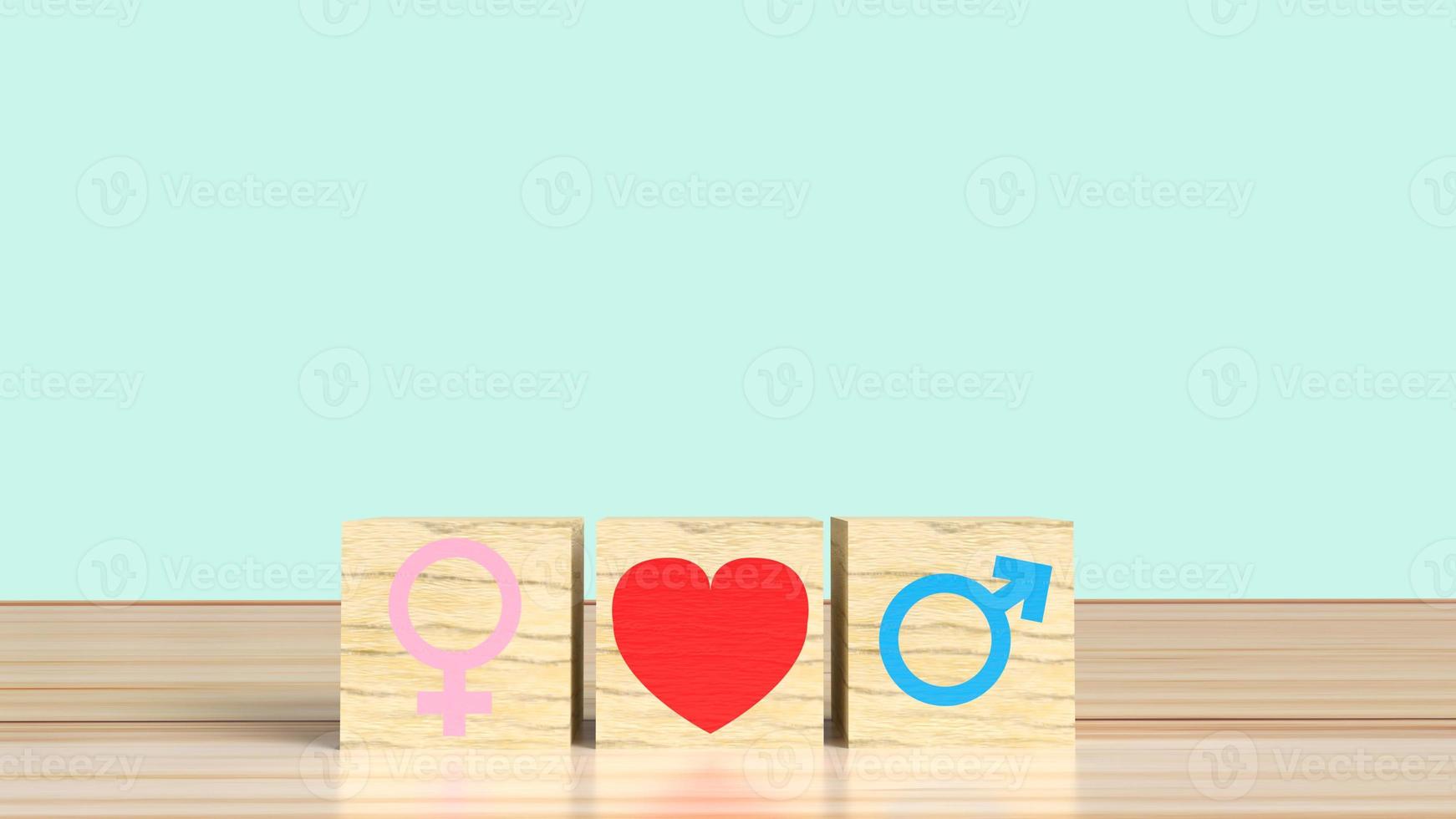 The gender on wooden cube with symbol to love 3d rendering  for valentine day. photo