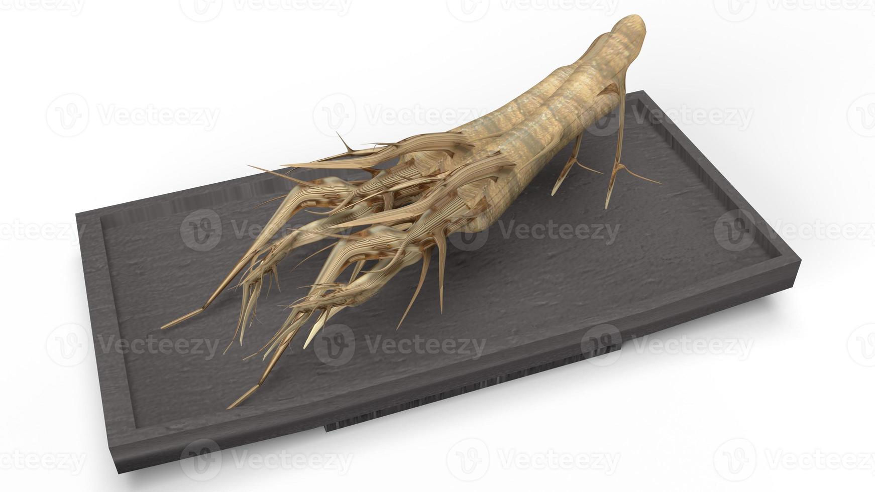 ginseng 3d rendering on black plate  for medical content. photo