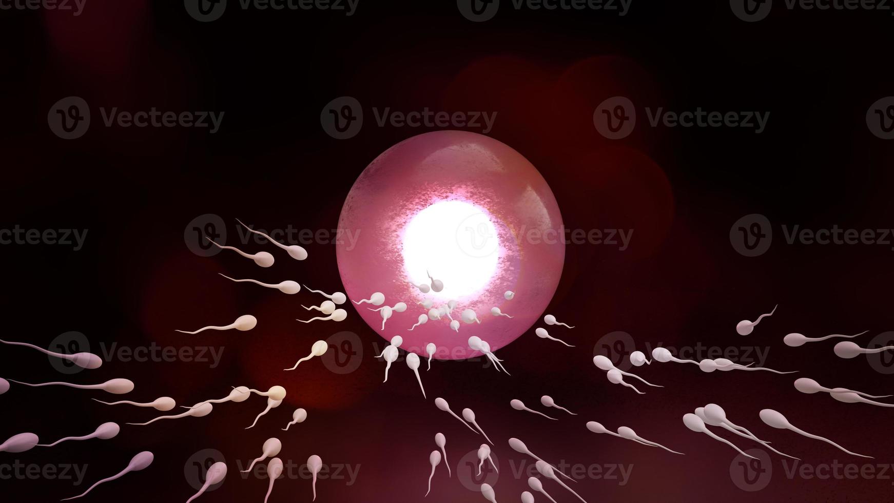 Sperm and ovary for sci content 3d rendering. photo