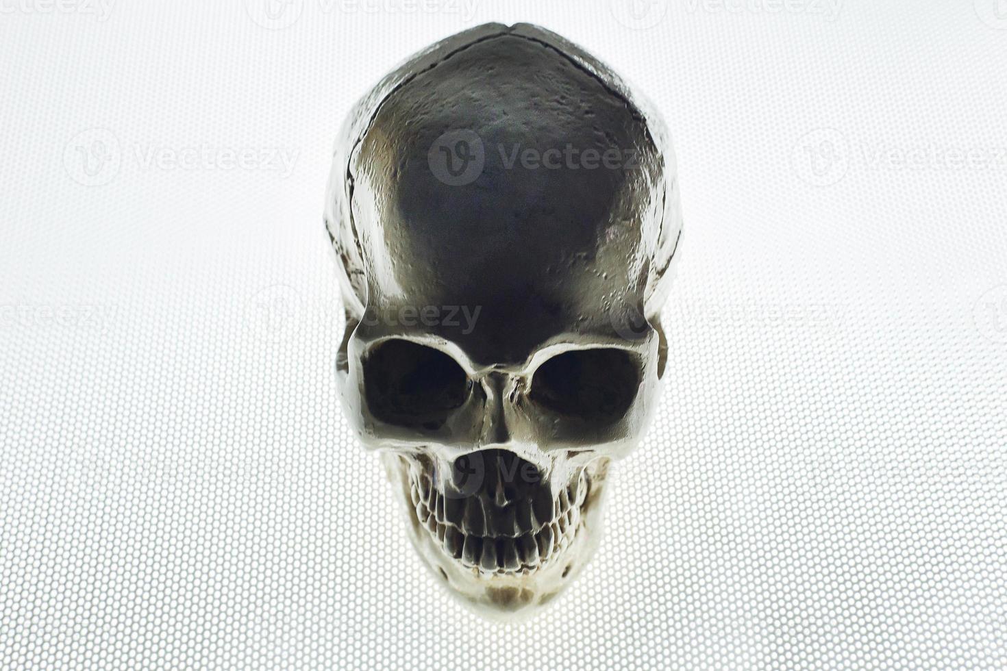 skull close up on glow light abstract  background . photo