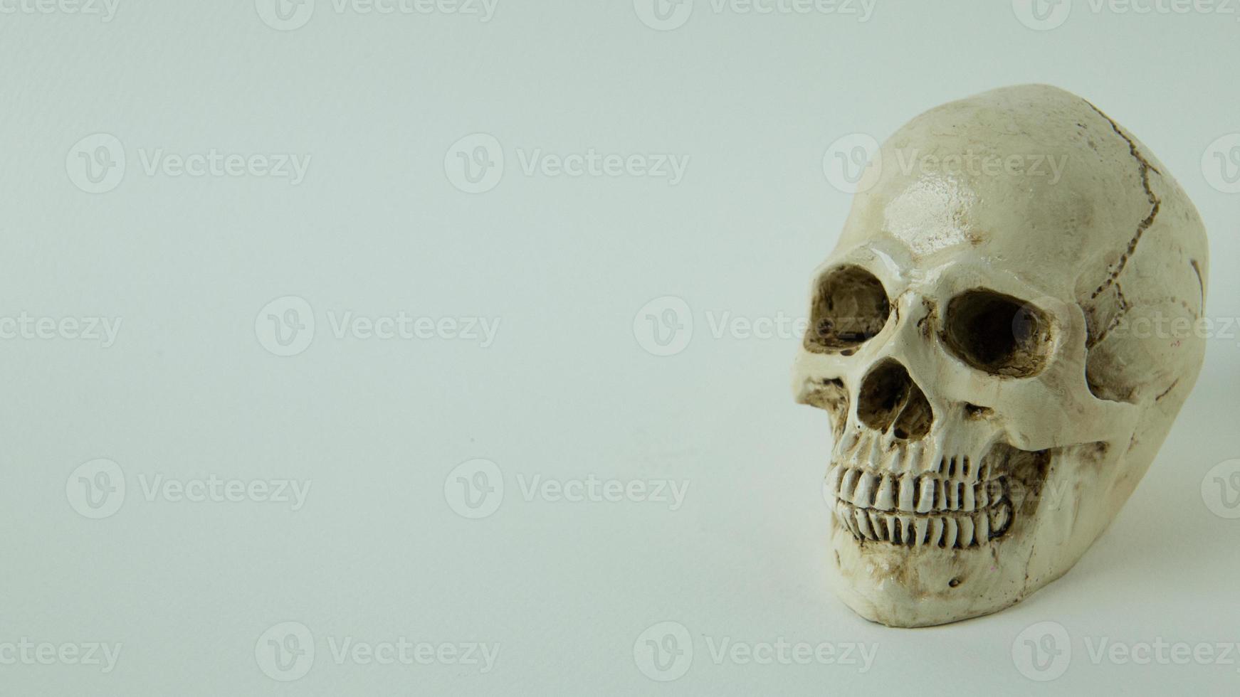 Skull close up  image on white  background. photo
