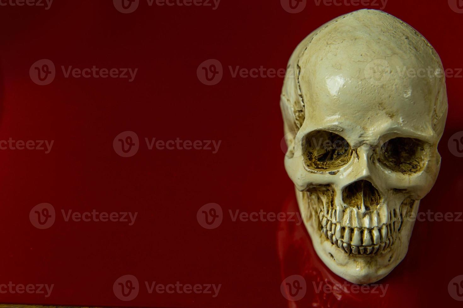 The skull on red background glossy abstract image. photo