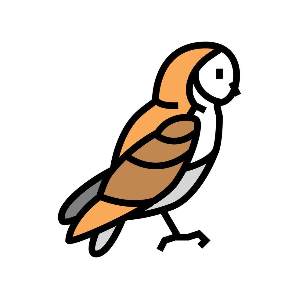 buho pájaro color icono vector ilustración