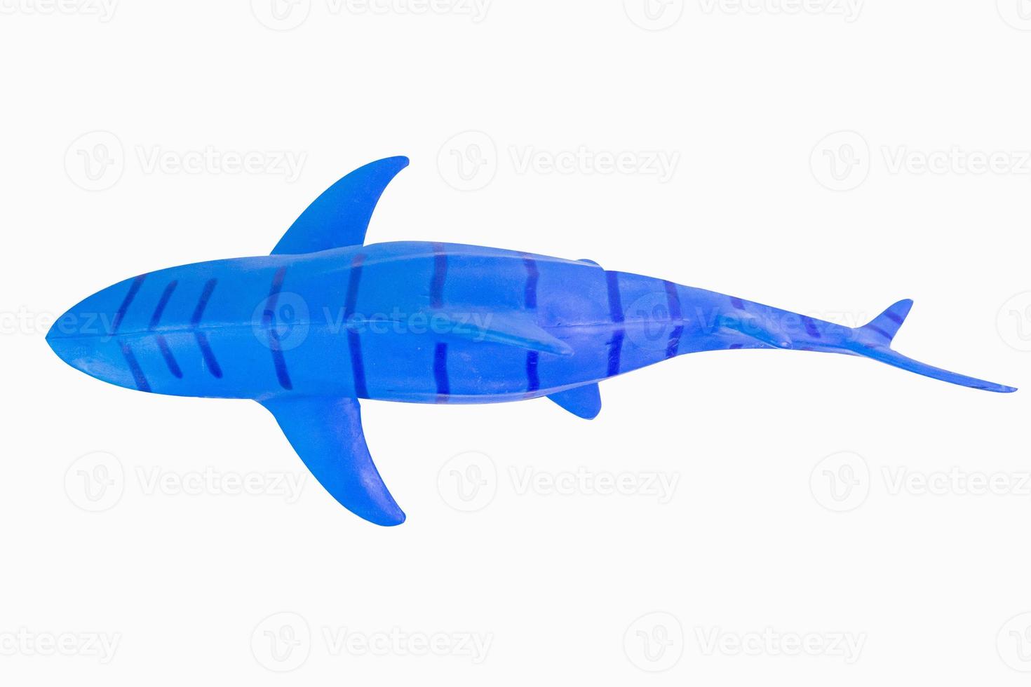figure toy  shark isolated closeup image. photo