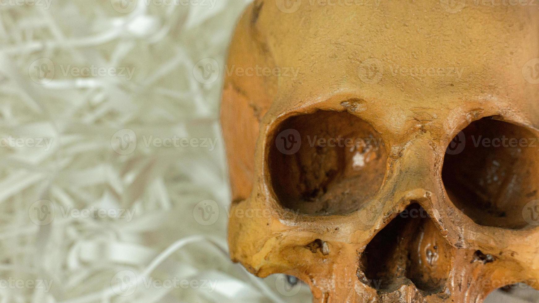 human skull on Cushioning paper for sci content. photo