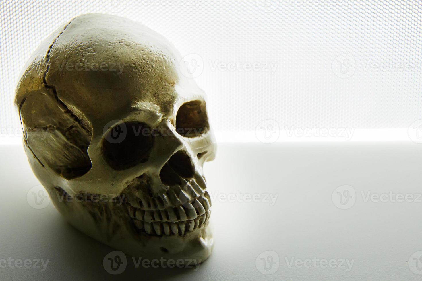 skull close up on glow light abstract  background . photo