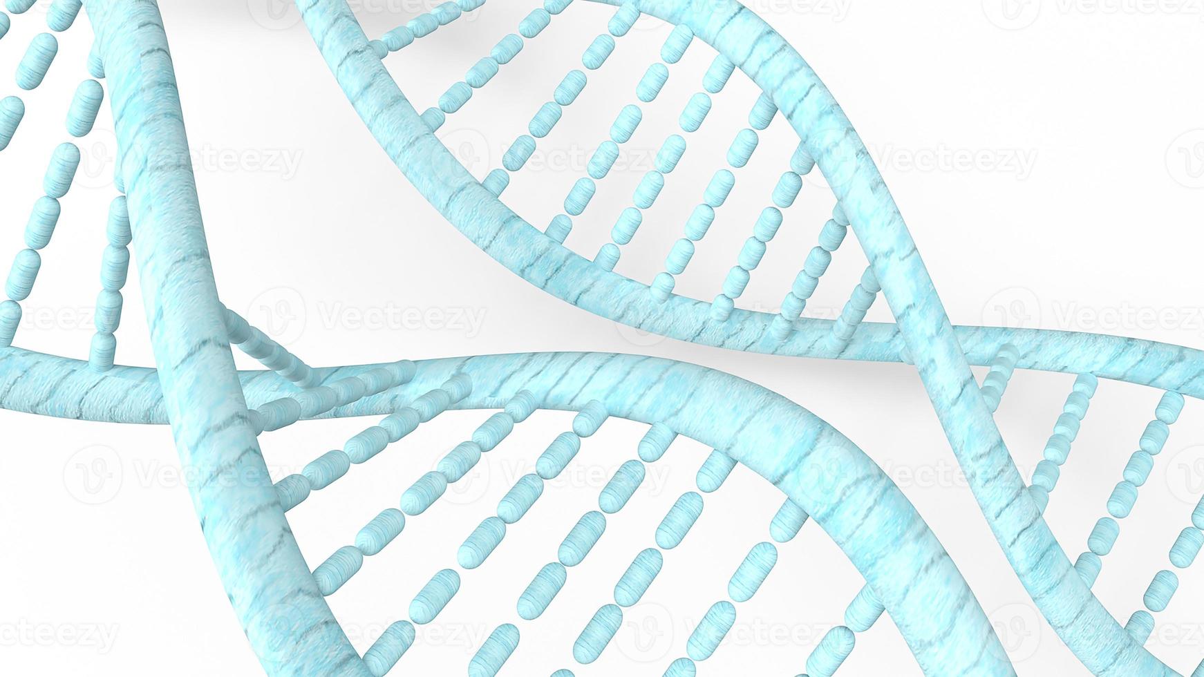 blue DNA in white background for  medical concept 3d rendering. photo