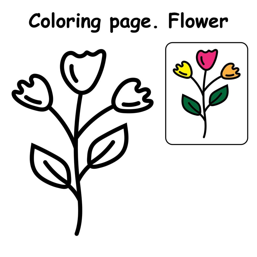 Parts Of A Plant Coloring Pages For Kids