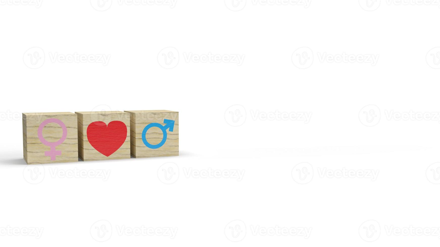 The gender on wooden cube with symbol to love 3d rendering  for valentine day. photo