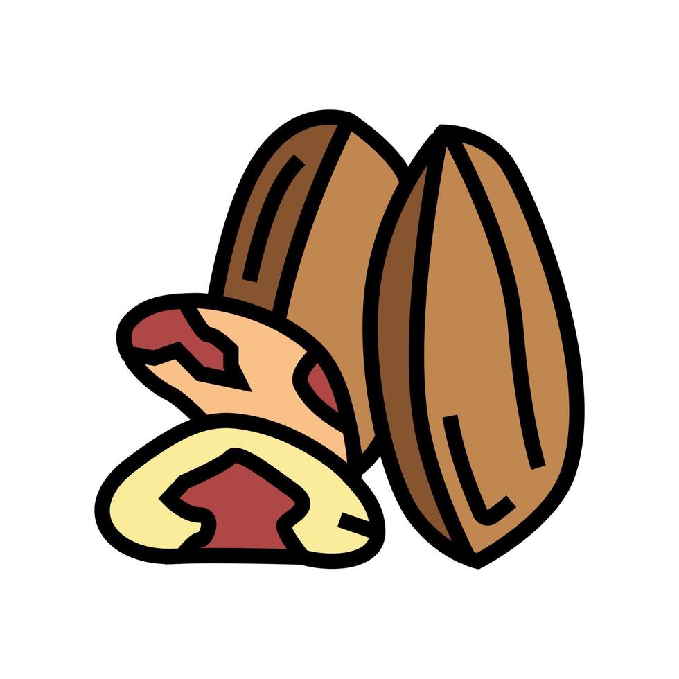 brazil nut color icon vector illustration