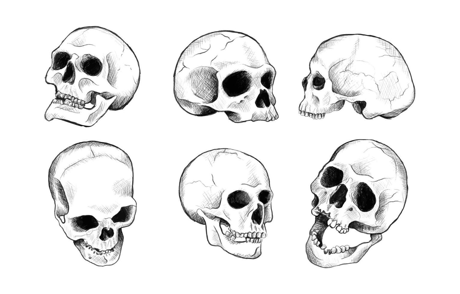 pegatina de calavera realista estética de dibujo a mano vector