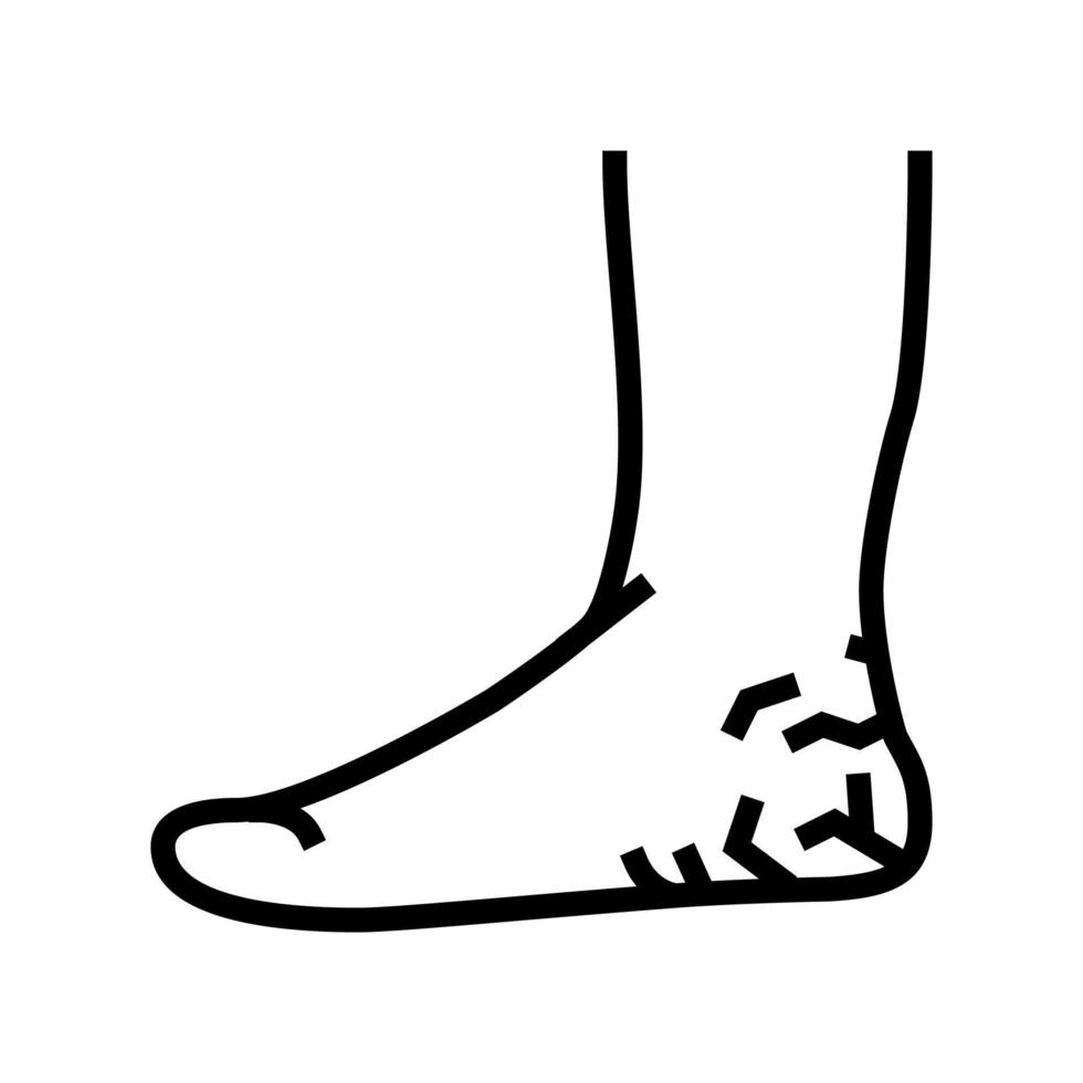 heels dry skin line icon vector illustration