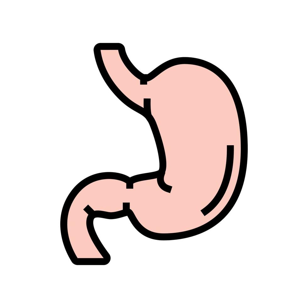 estómago órgano humano color icono vector ilustración