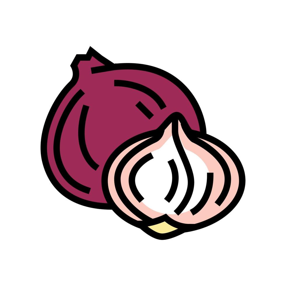 ilustración de vector de icono de color de cebolla morada