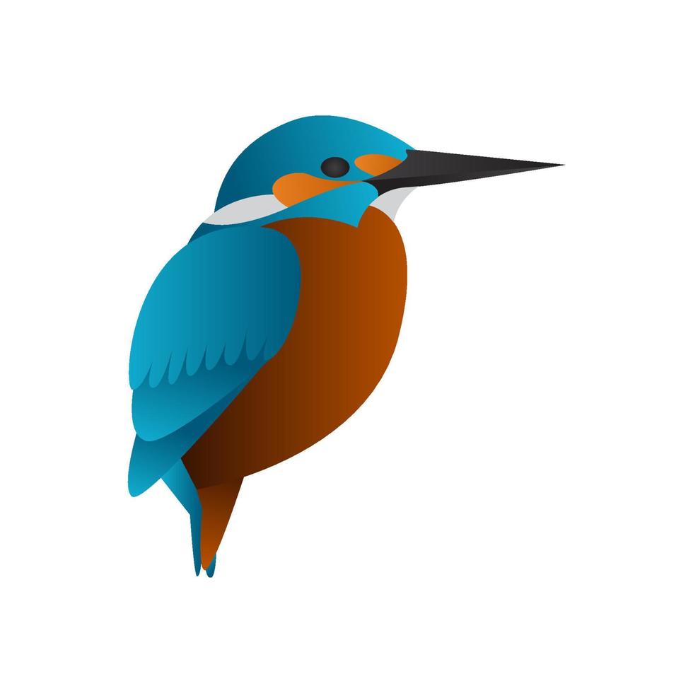 gradient kingfisher bird vector illustration