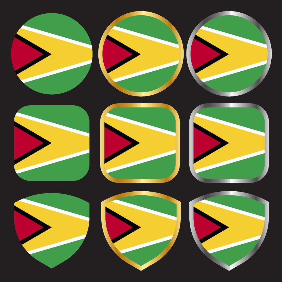 guyana flag vector icon set with gold and silver border