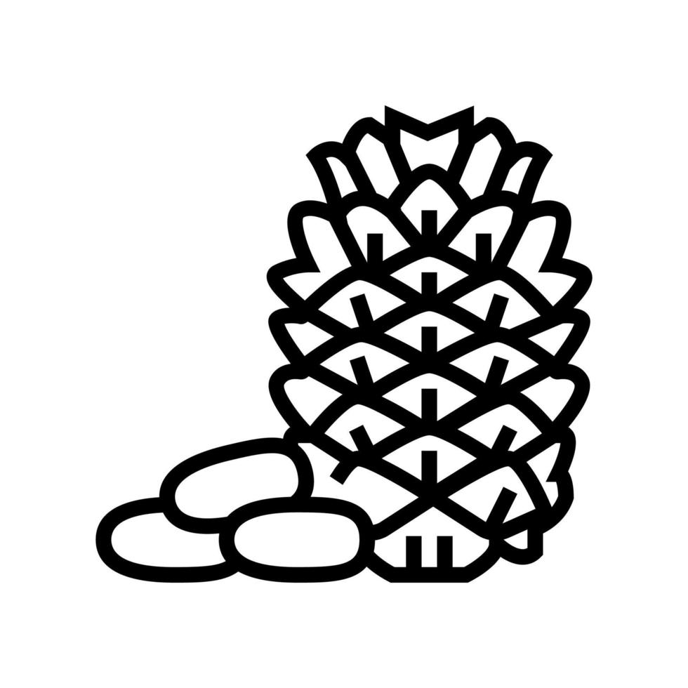 pine nut line icon vector illustration