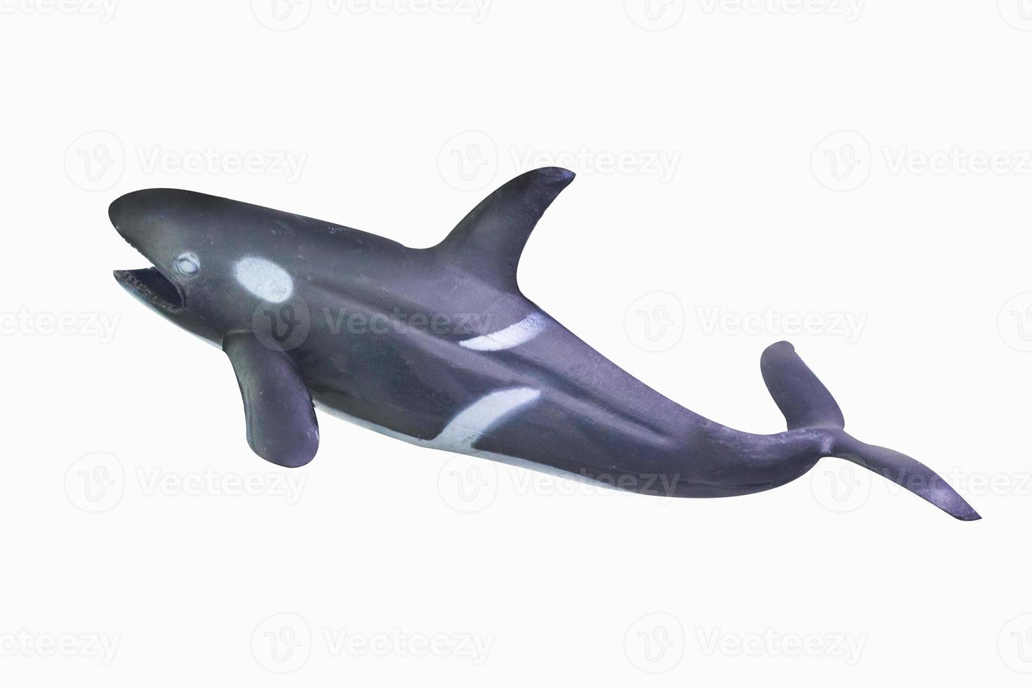 figure toy Killer whale isolated closeup image. photo