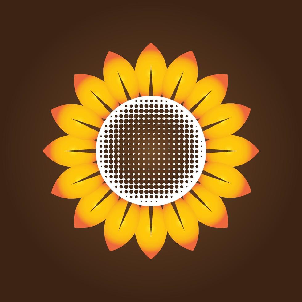 sunflower vector illustration
