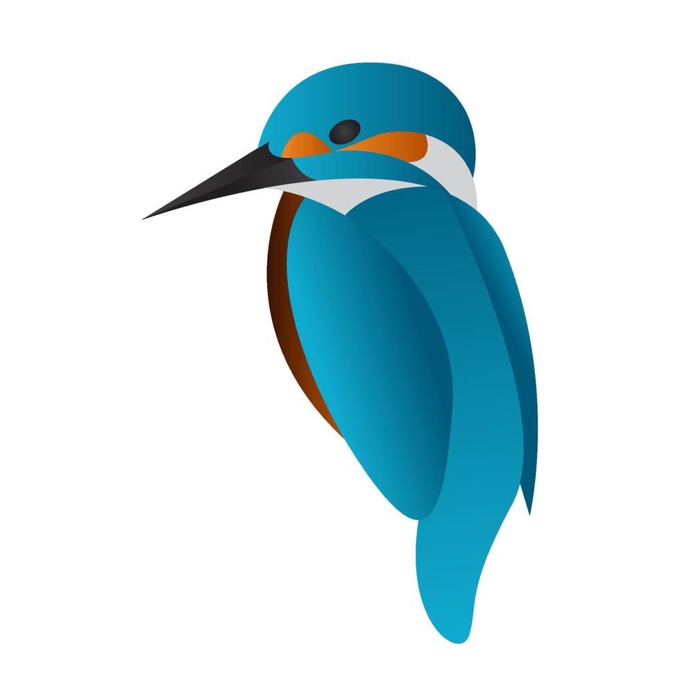 gradient kingfisher bird vector illustration