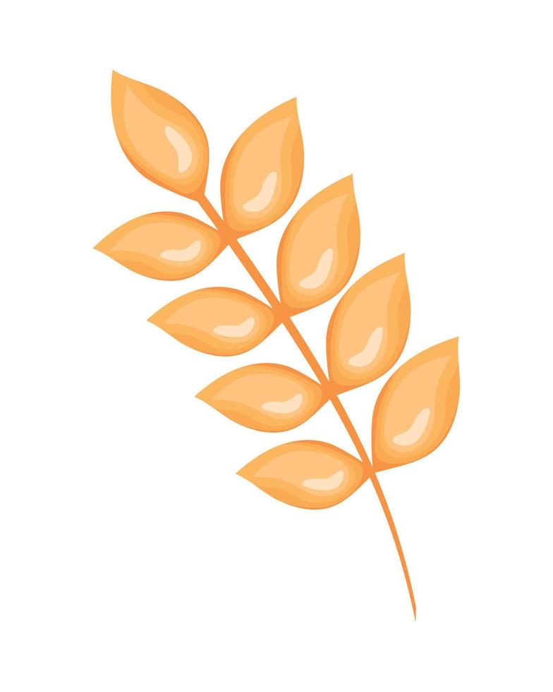 golden wheat spike vector