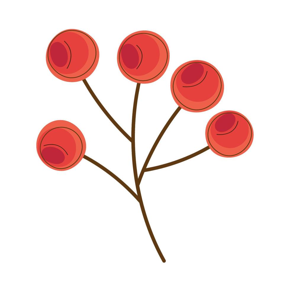 branch with seeds vector