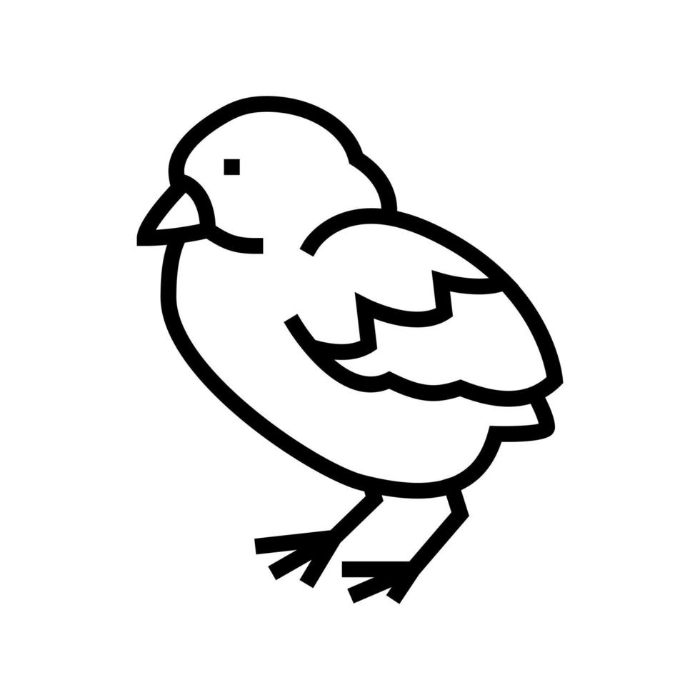 pollo pájaro línea icono vector ilustración