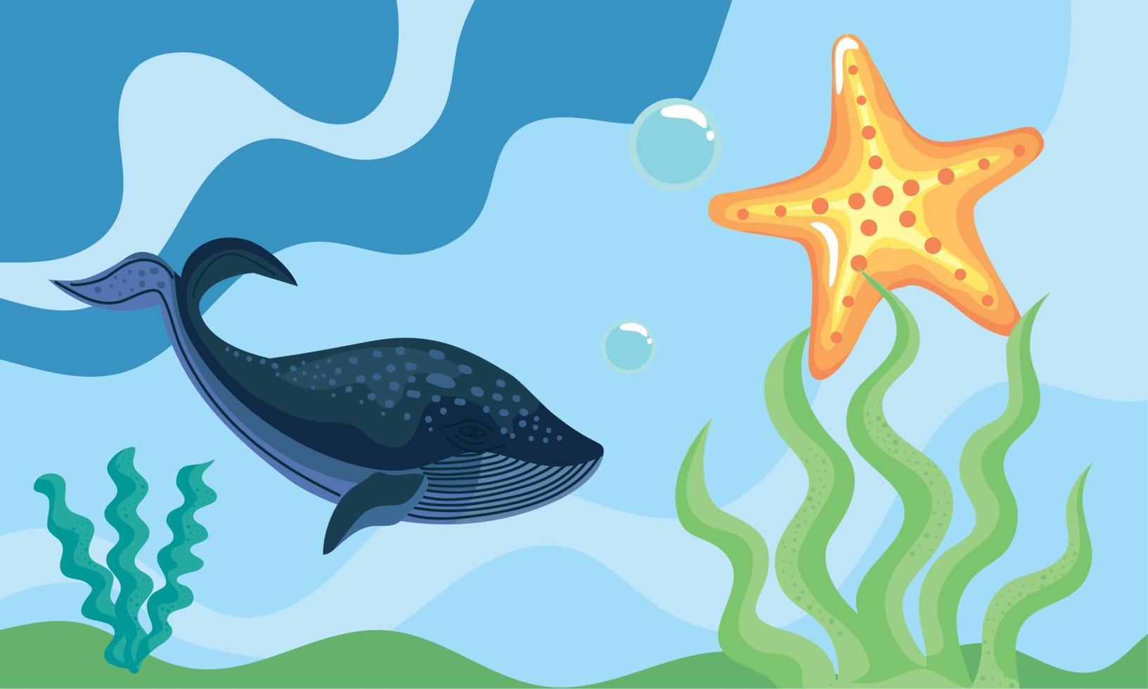 whale with starfish and algaes vector