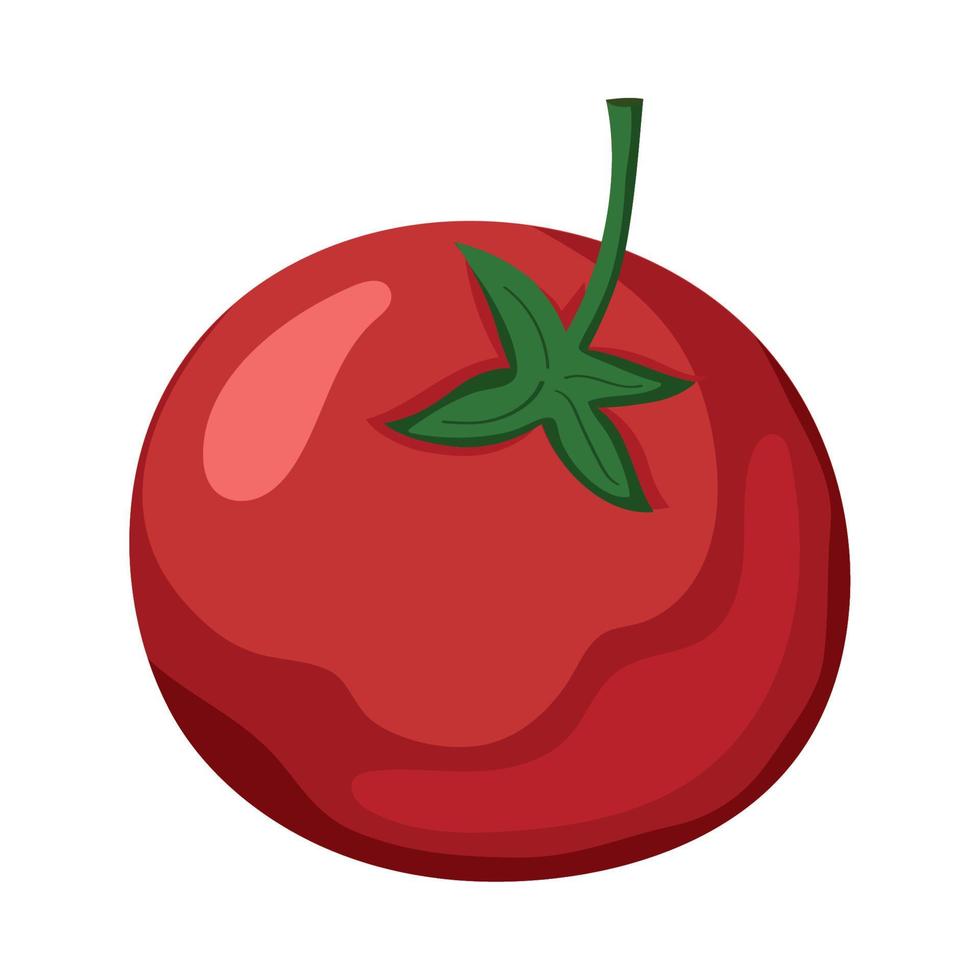 vegetales de tomate fresco vector