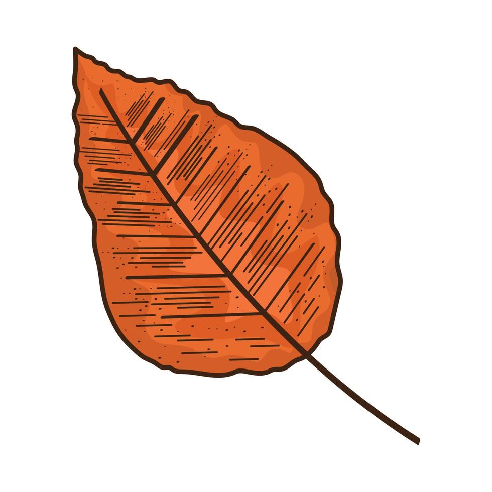 hoja de naranja otoñal vector