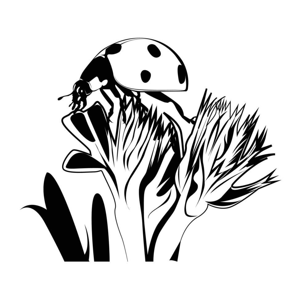 black white doted ladybug vector