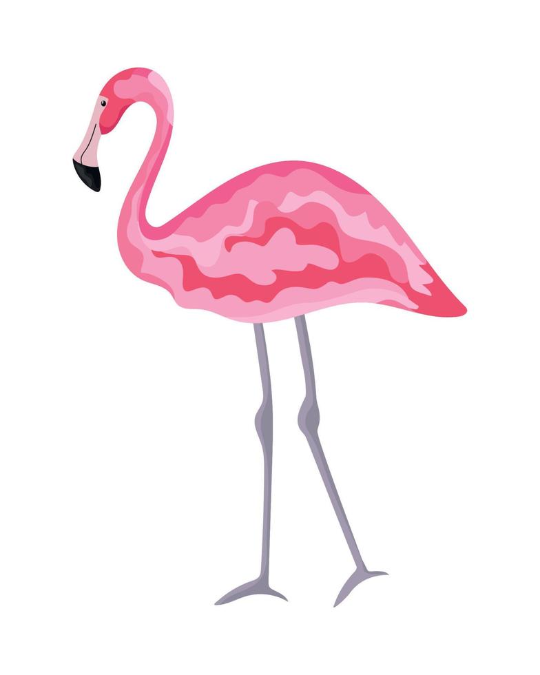 exotic flamingo bird vector
