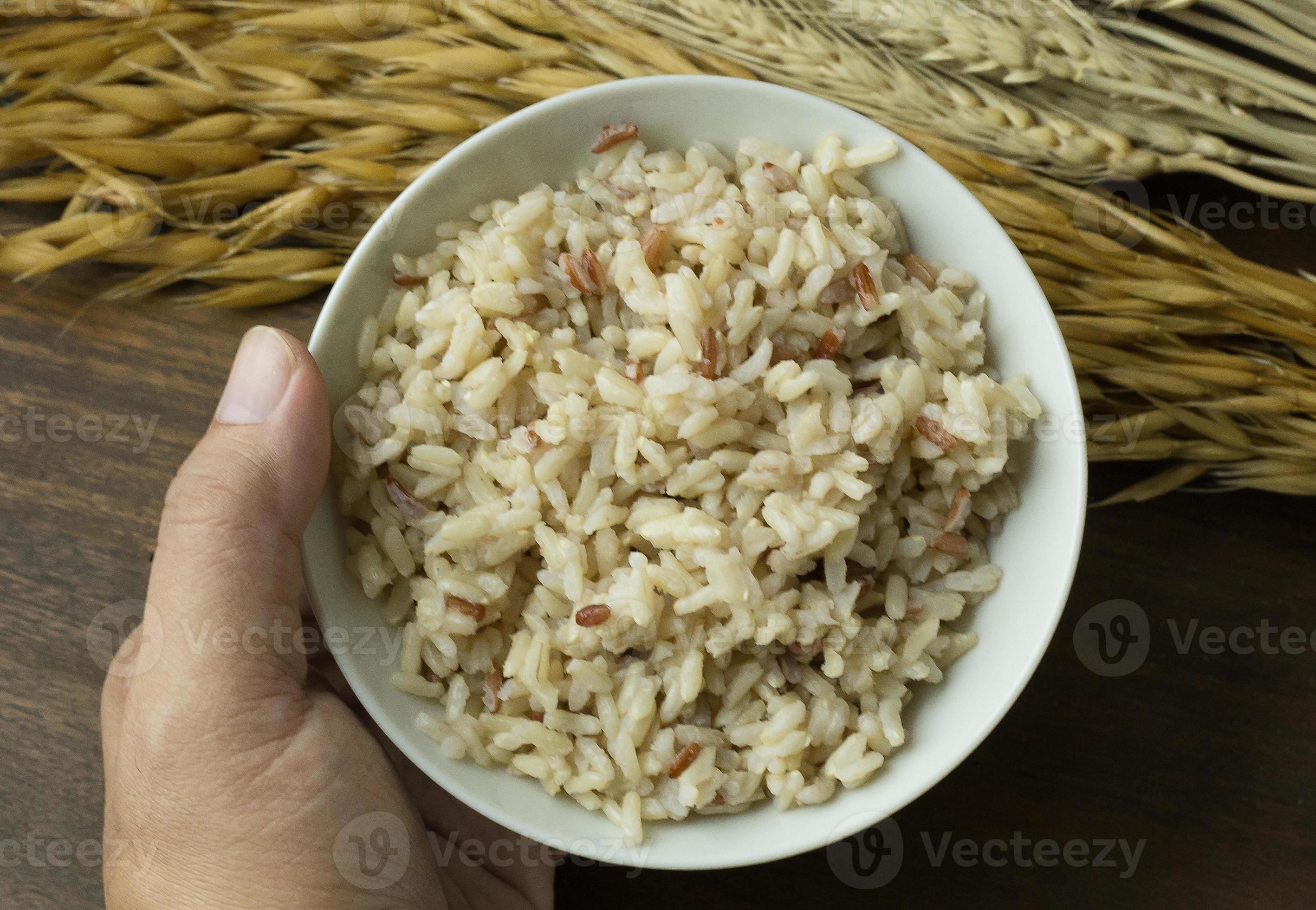 Cooked Jasmine Rice Brown Rice 10350352 Stock Photo at Vecteezy