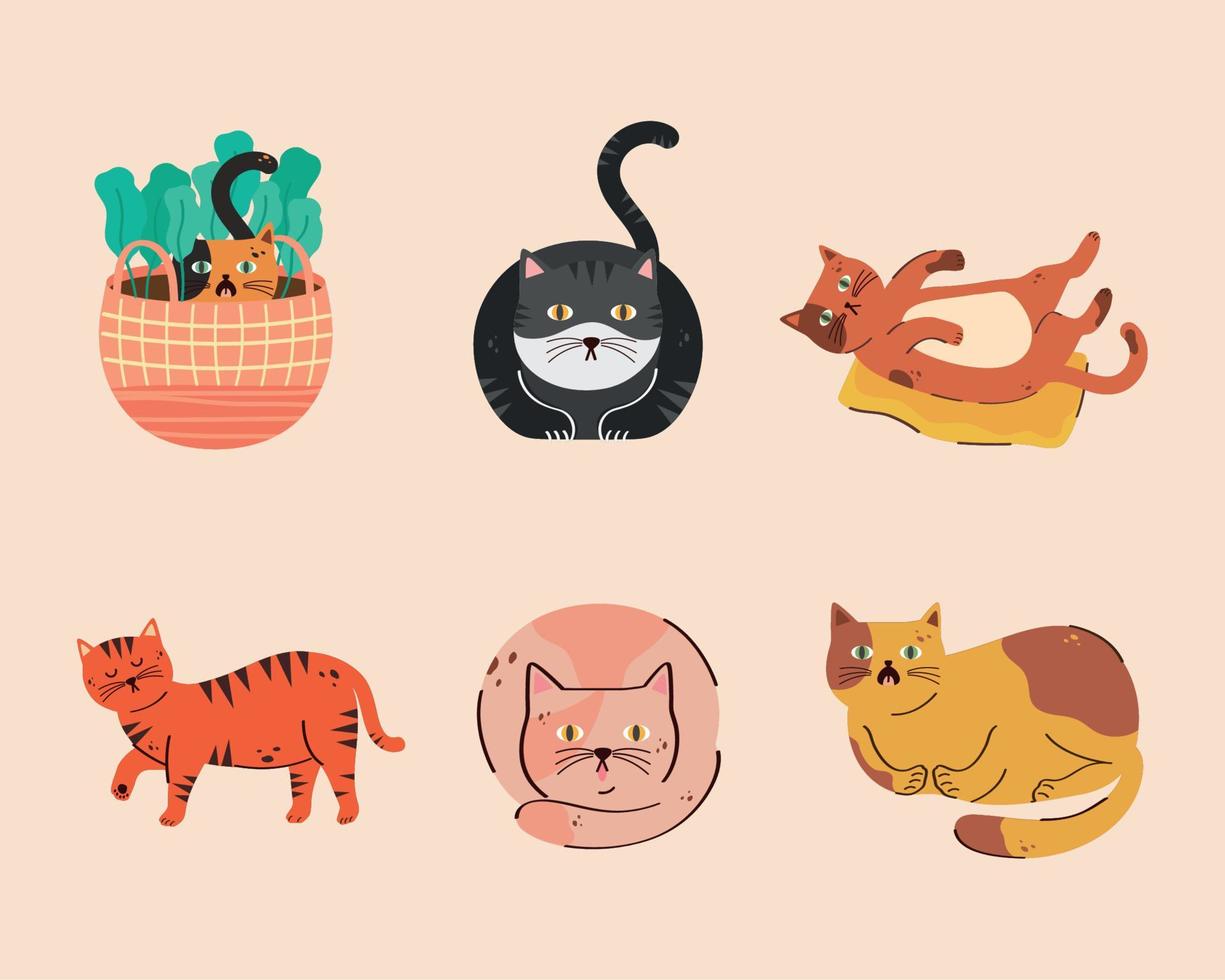 six cute cats pets vector