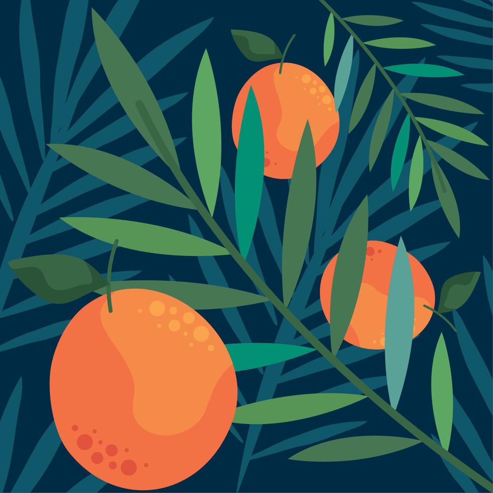 oranges and leafs pattern vector