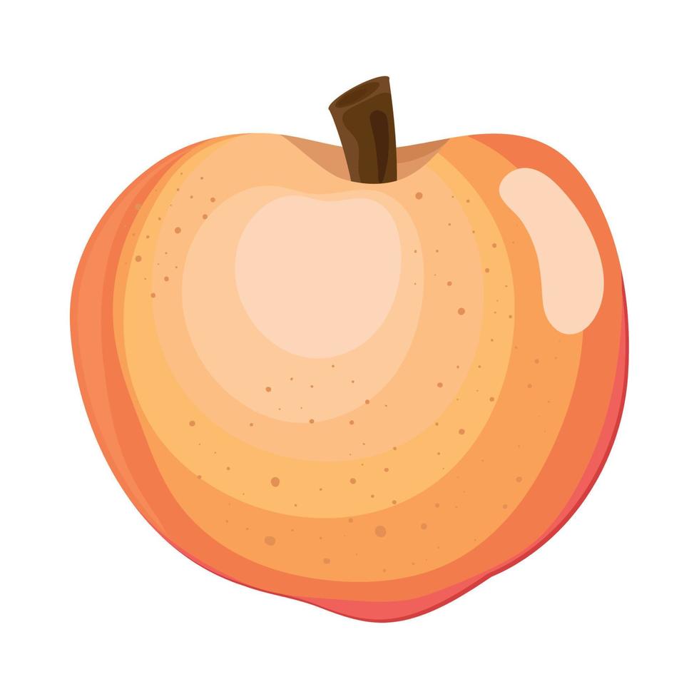 peach fresh fruit vector