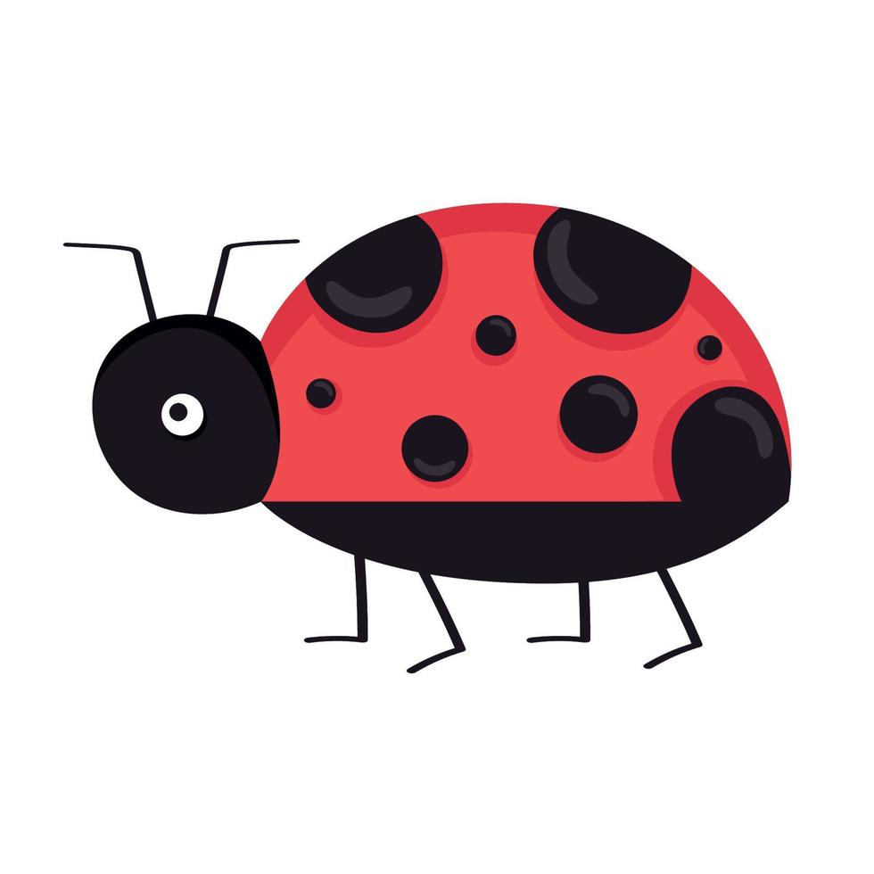 ladybug cute spring animal vector