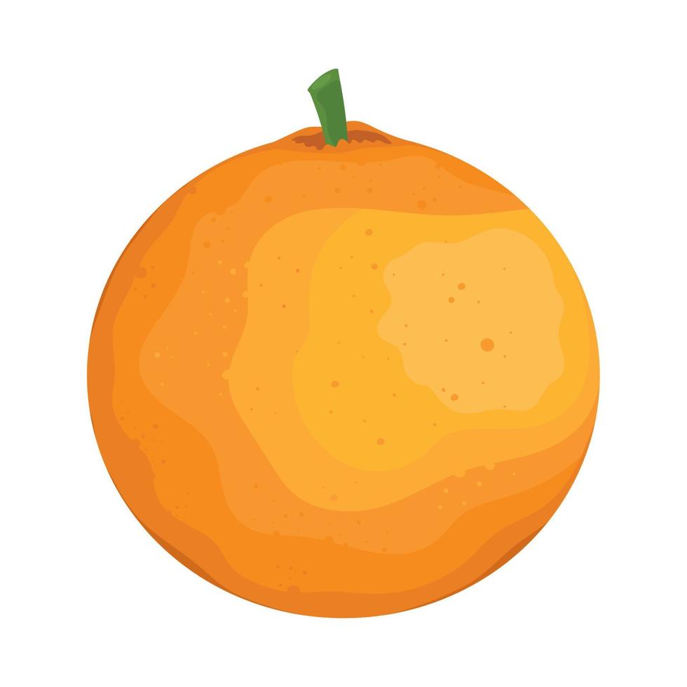 orange fresh fruit vector
